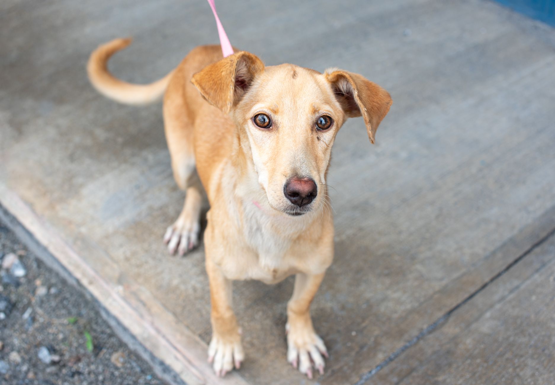 Quelles méthodes pour affiner les cuisses rapidement ?