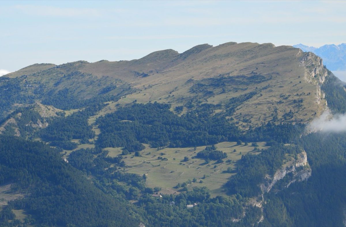Tête de rubrique : page porte d'entrée et guide