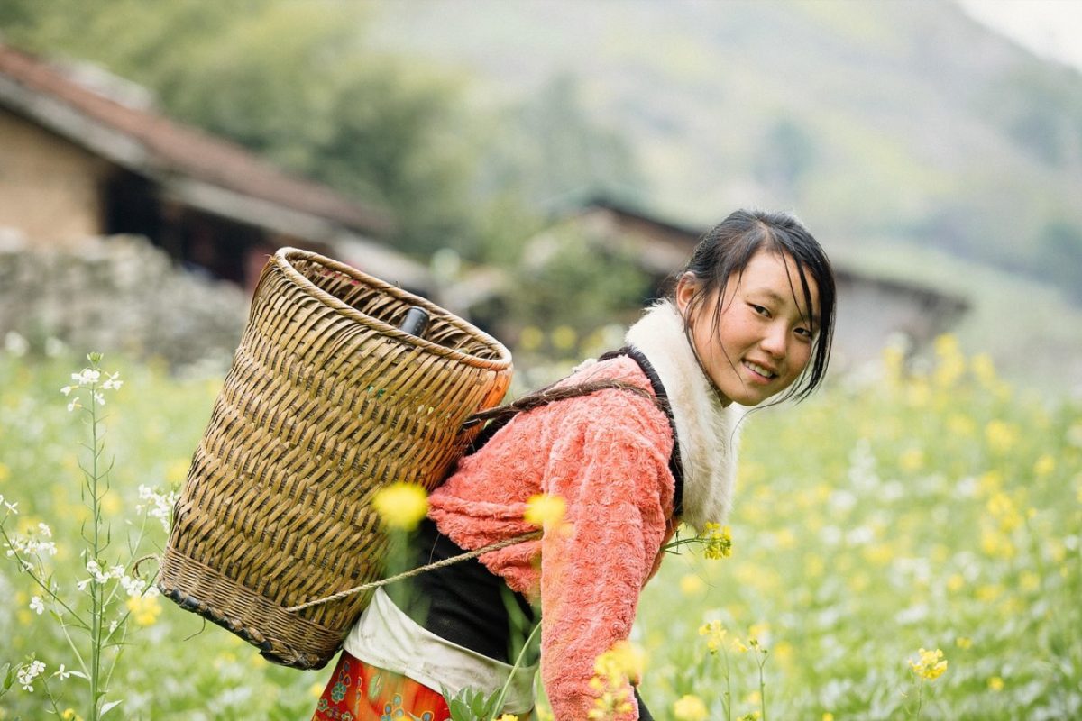 Panier de courses économique et équilibré : guide pratique