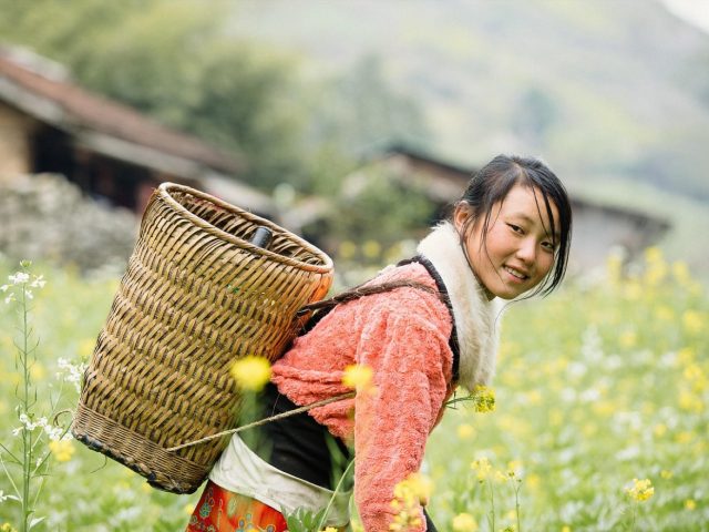 Panier de courses économique et équilibré : guide pratique